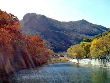 正新澳门二四六天天彩，新宝来论坛